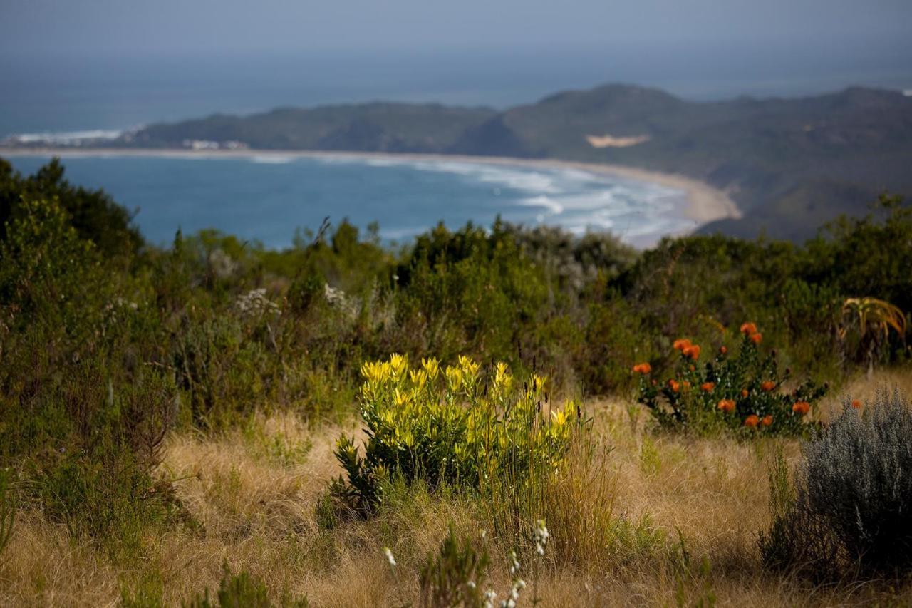 Alkira Lodge Brenton-on-Sea Esterno foto